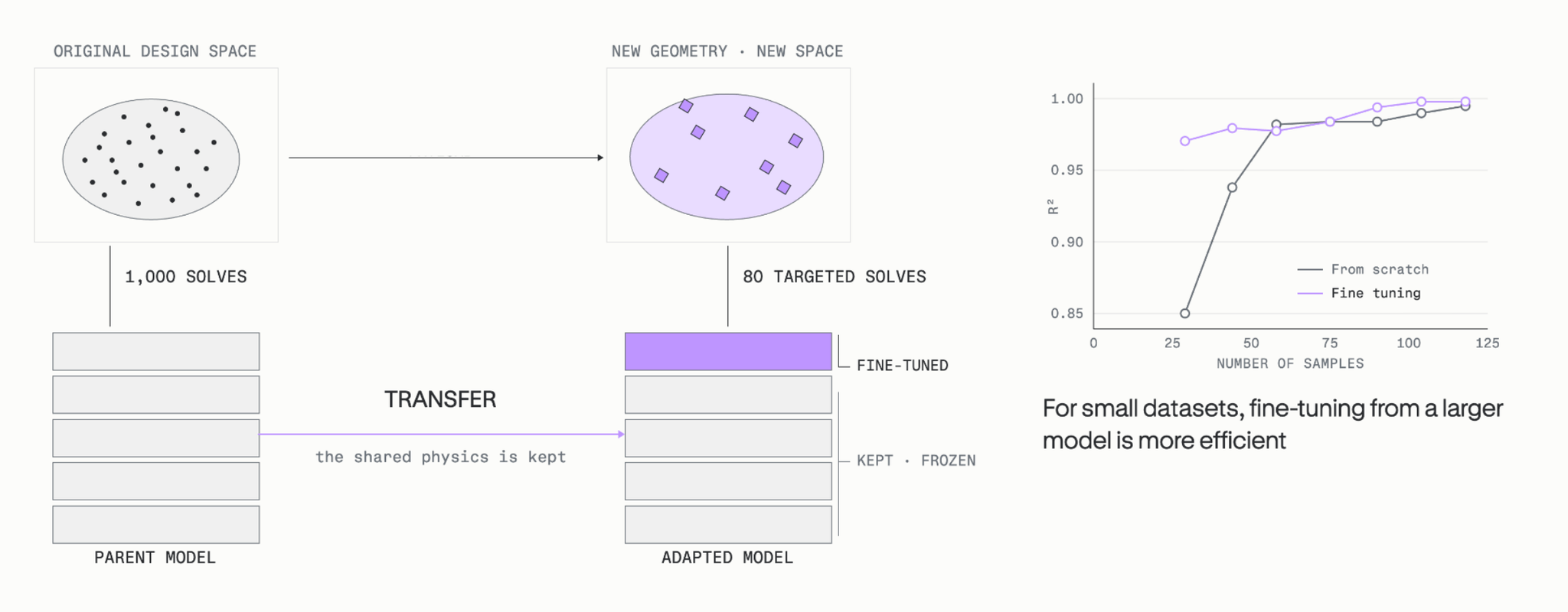 A parent model trained on 1,000 solves transfers its shared physics to a new geometry, where 80 targeted solves fine-tune the top layer and the rest stay frozen. For small datasets, fine-tuning from a larger model reaches higher accuracy than training from scratch.
